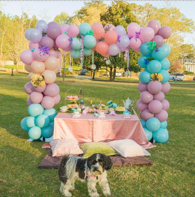 Luxury Picnic Packages